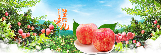 順農果品現代農業(yè)園區(qū) 探索果品產業(yè)的科技與創(chuàng)新之路